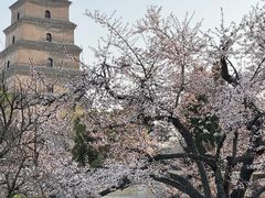 -大慈恩寺(大雁塔)