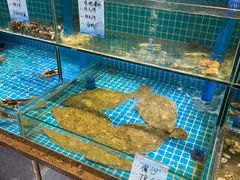 水产区-良师门滨海人家·海鲜·家常菜(滨海城店)