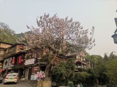 -梓木山庄