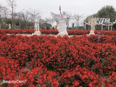 -广东花都香草世界旅游度假区