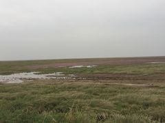 -鄱阳湖国家湿地公园