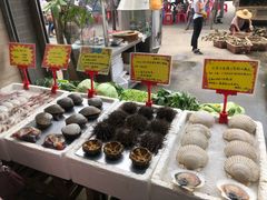 -蚝专家(北滘店)