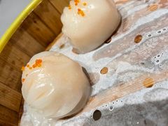 -采蝶轩