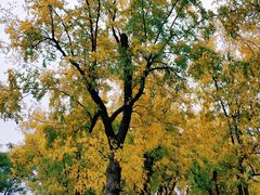 -白塘生态植物园