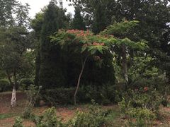 -前关湿地公园