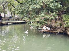 -兰亭风景区