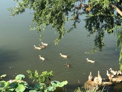 -上海怡沁园度假酒店