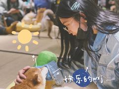 -逗柴咖啡屋·狗咖猫咖宠物桌游