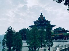 -顺峰山公园