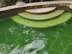 -郑州银基黄帝宫御温泉