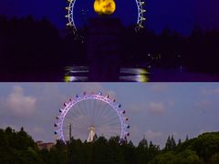 -上海野生动物园
