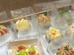 -猫里有甜