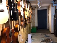 -弹指之间吉他培训(石景山店)