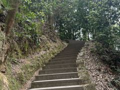 -缙云山景区