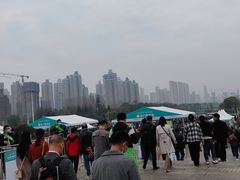 -武汉洲际酒店