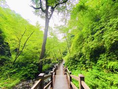 -凤凰山国家森林公园
