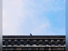 -土城古镇