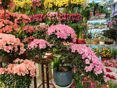 -双季花艺园艺市场(浦东店)