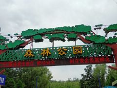 -森林公园(尖草坪区)
