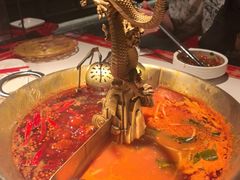 -小龙翻大江文化火锅(宽窄店)