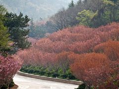 -石岛赤山风景区
