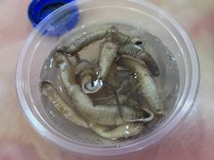 -阿莲美食园