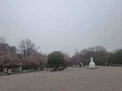 -唐城墙遗址公园