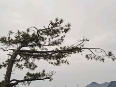 -萍乡武功山风景名胜区