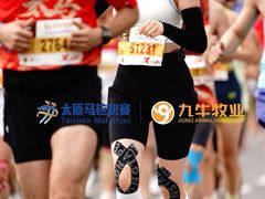 -迎泽公园