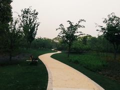 -昆山城市生态森林公园