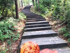 -火炉山森林公园