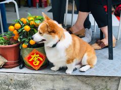 -小梁哥云吞面(黄贝岭店)