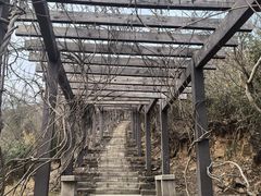 -缥缈峰景区