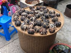 -心无尘茶餐馆(径山村店)