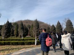 -洛阳古墓博物馆