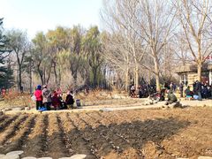 -长春公园(普阳街道)