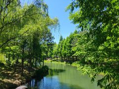 -尚贤河湿地