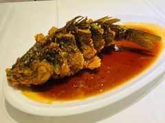 -金春禧(世茂国际广场店)