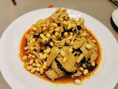 豆芽面筋-蝎王府羊蝎子(西稍门店)