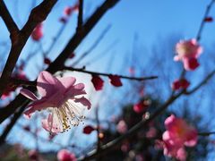 -鹫峰国家森林公园