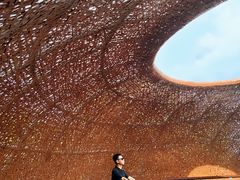 -东寨港红树林旅游区