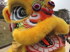 -天适樱花悠乐园