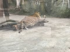 -南昌动物园
