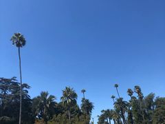 -比弗利花园