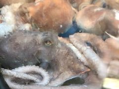 -渔中舟海鲜大排档(普陀沈家门店)