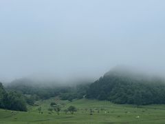 -关山草原