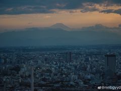 -六本木新城展望台(东京城市景观)