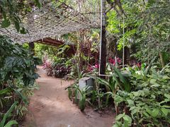 -呀路古热带植物园