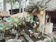 -园林美食城·本土农家菜(杨和镇店)