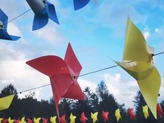-五营国家森林公园